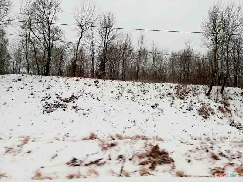 Приехали домой